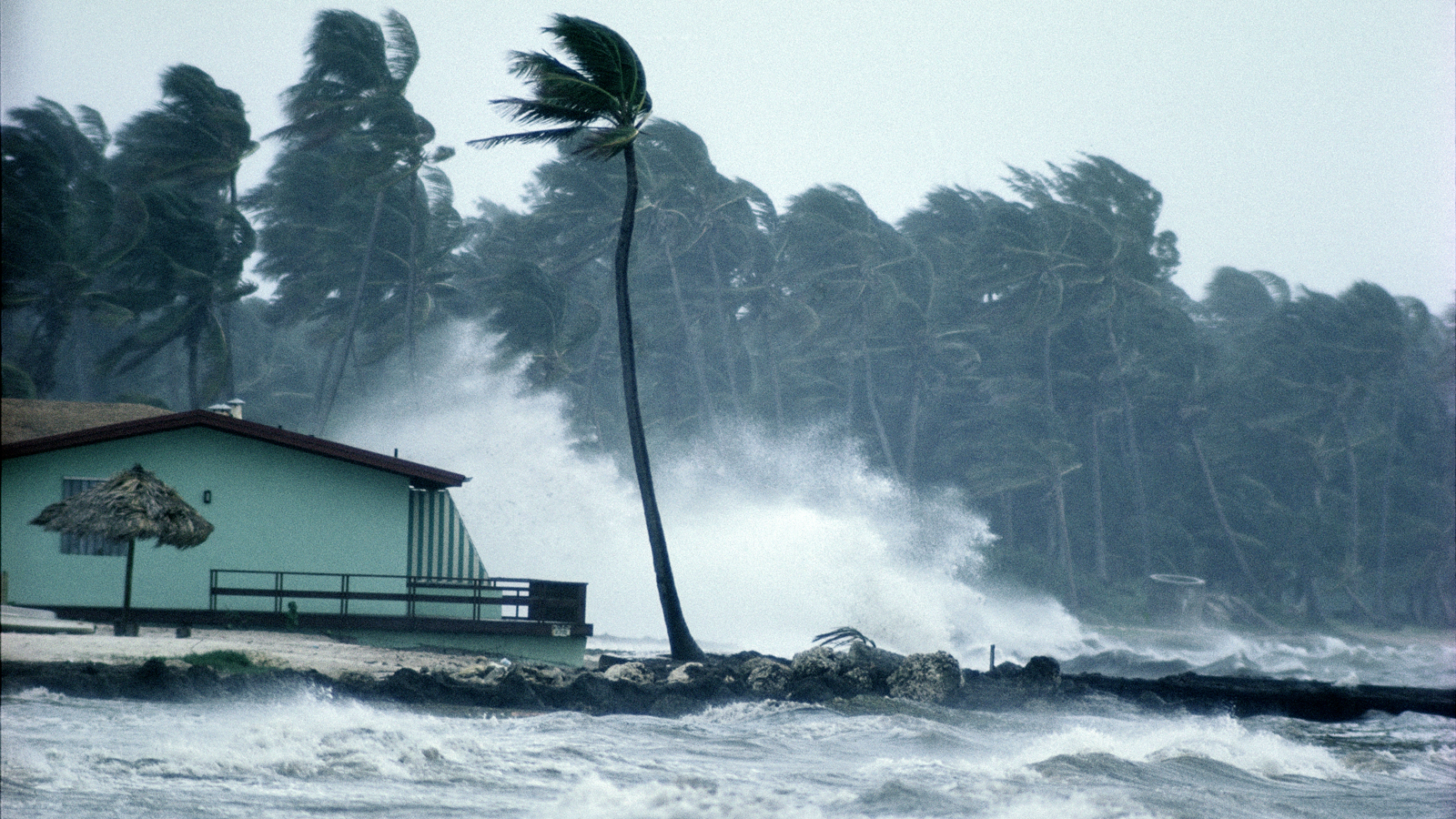 الإعصار الرعدية المصحوبة المحيطات الإعصار وتتكون فوق القمعي العاصفة العاصفة الحلزوني غزيرة برياح وأمطار قوية العاصفة المصحوبة
