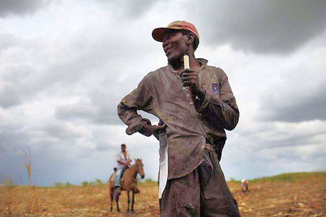 Haitian bracero cane cutter in the DR