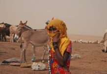 Tchad: la Cendrillon des colonies françaises (2)