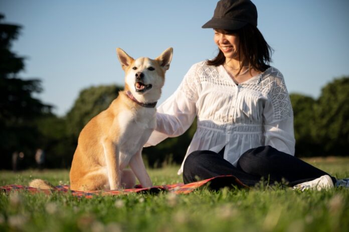 Certified-Dog-Trainer-Connecticut