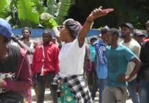 A qui profite ces massacres ?