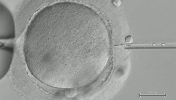 imageye___-_imgi_12_FOTOS-DE-PORTADA-SITIO-WEBazul-Recovered5