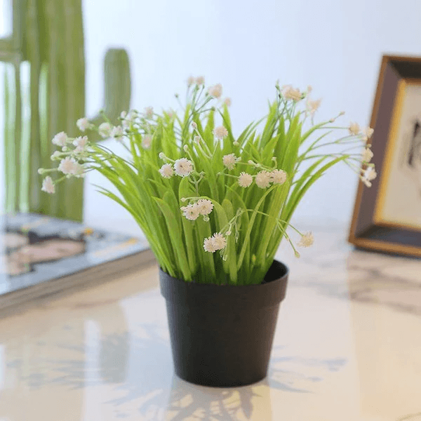 Aplant609-white